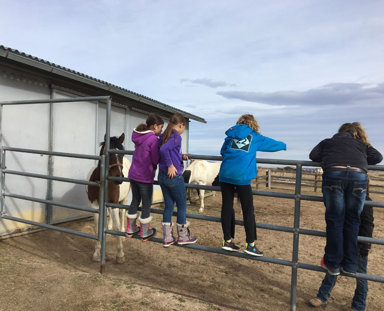 Sky View Farm Equine Path Therapy with Children and Horses at the barn yard