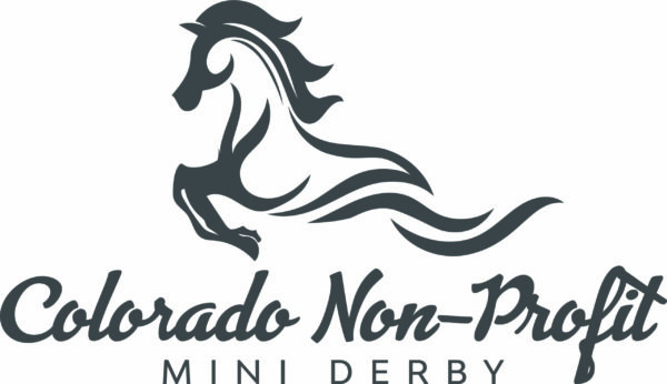 Colorado Non-Profit Mini Derby